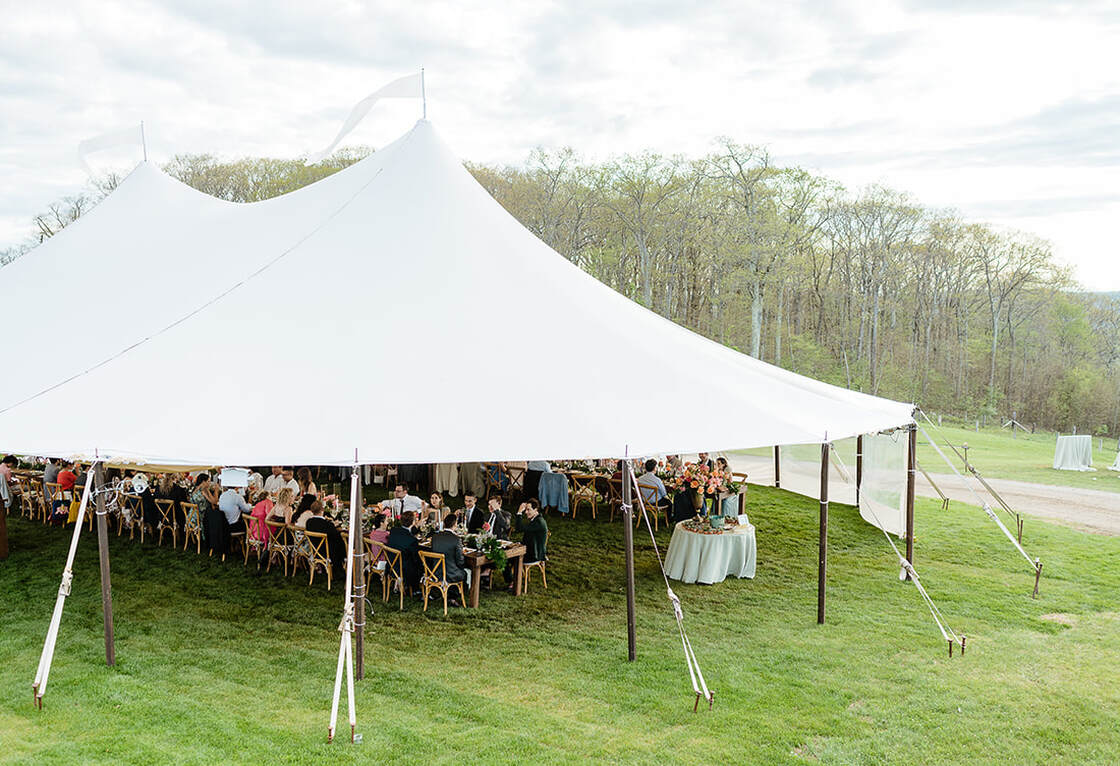 Wedding reception, catering, tablescape, tent
